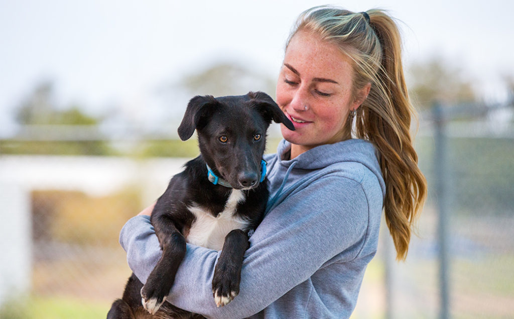foster-carer