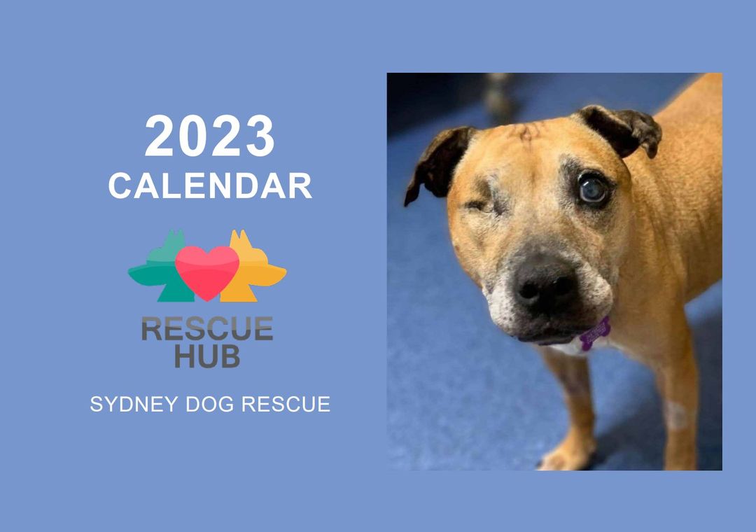 Rescue Hub Calendar 2023