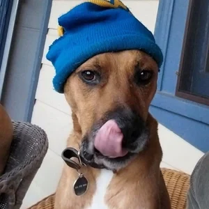 Bowie