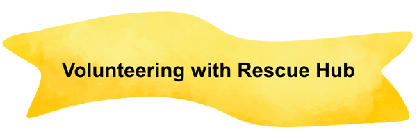 Volunteering Banner