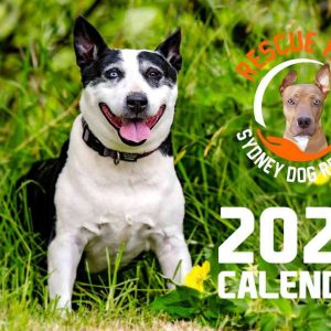 Rescue Hub 2026 Charity Calendar
