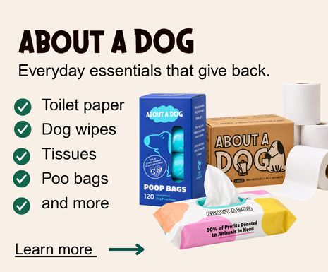 About a Dog (1)