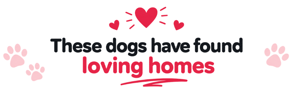 Loving homes